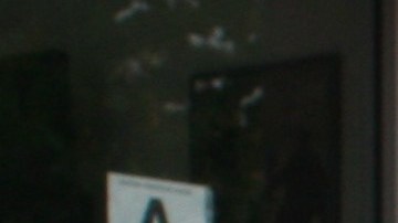 NYPD en El Bronx/Archivo.