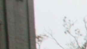 NYPD en El Bronx, frente a estadio de los Yankees/Archivo.