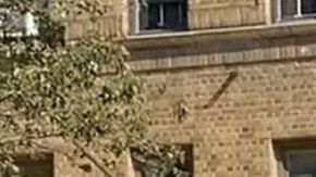 Congresista Adriano Espaillat da su apoyo a Scott Stringer para ser alcalde de NYC.