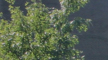 Centenares de mujeres aguardan desde la madrugada por unas horas de empleo.