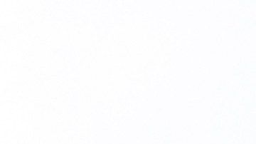 Un plato fácil y exquisito.