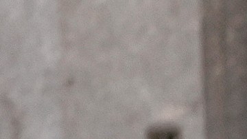 Los restaurantes podrán dar servicio al aire libre hasta por lo menos septiembre del 2021.