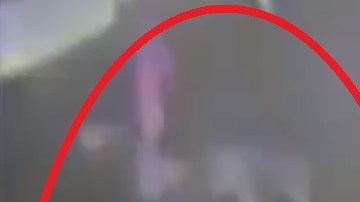 El NYPD compartió el video en su cuenta de Twitter.