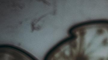 Veneno-Davide Baraldi en Pexels