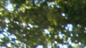 El ecuatoriano Víctor Salazar, uno de los miles de taxistas al borde de la ruina, lideró una protesta al frente de la Alcaldía de NYC.