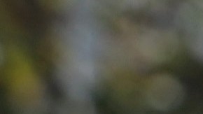 FAIRFAX, VIRGINIA - OCTOBER 19:  Voters wait in line outside an early voting location at Fairfax County Government Center to cast their votes for the November 3, 2020 elections on October 19, 2020 in Fairfax, Virginia. Virginian voters can vote early at their local registrar’s office from 45 days before Election Day to the Saturday before Election Day.  (Photo by Alex Wong/Getty Images)