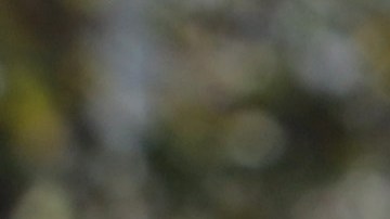 FAIRFAX, VIRGINIA - OCTOBER 19:  Voters wait in line outside an early voting location at Fairfax County Government Center to cast their votes for the November 3, 2020 elections on October 19, 2020 in Fairfax, Virginia. Virginian voters can vote early at their local registrar’s office from 45 days before Election Day to the Saturday before Election Day.  (Photo by Alex Wong/Getty Images)