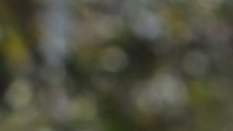 FAIRFAX, VIRGINIA - OCTOBER 19:  Voters wait in line outside an early voting location at Fairfax County Government Center to cast their votes for the November 3, 2020 elections on October 19, 2020 in Fairfax, Virginia. Virginian voters can vote early at their local registrar’s office from 45 days before Election Day to the Saturday before Election Day.  (Photo by Alex Wong/Getty Images)
