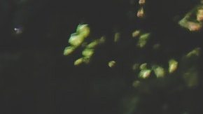 El temor por chocar un auto al estacionarse está desapareciendo con los nuevos sistemas de estacionamiento automático