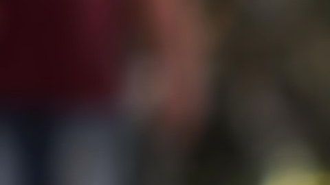 El animal que define a los Escorpión es el perro.