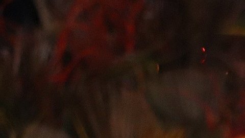 Altar día de muertos