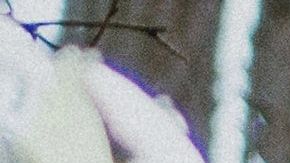 Hay signos que van despacio en el amor.