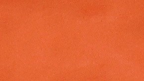 Nadia Podoroska ya está entre las 4 mejores raquetas del torneo.