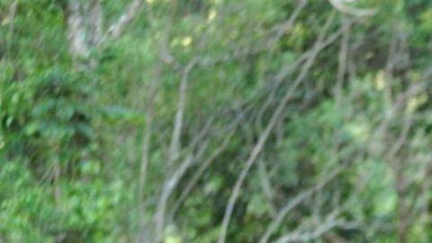 Soñar con un accidente de auto podría ser una pesadilla.