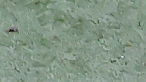 Julio Urías fue un jugador clave para que los Dodgers se coronaran.