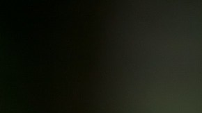 Los dueños dijeron que el perro sufría de una grave enfermedad.