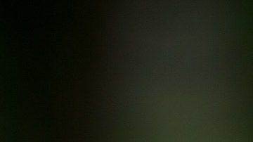 Los dueños dijeron que el perro sufría de una grave enfermedad.