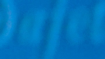 Muchos se apuntaron a esta iniciativa.