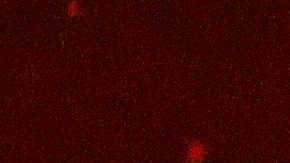 El incendio Glass en Deer Park, en el condado de Napa.