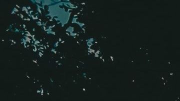 Expertos recomiendan actuar con cautela y no firmar contratos importantes ante de leerlos con profundidad.