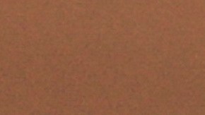 Tony Gonsolin será el abridor por los Dodgers.