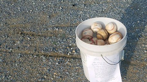 fqz1c-grandpa-bucket-of-baseballs-1