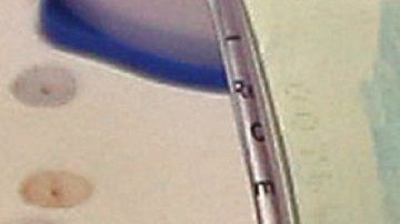 Cada año se otorgan unas 50,000 visas bajo el programa de Diversidad.