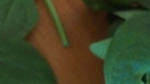 Batido verde