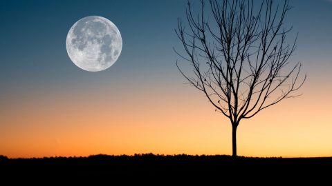 El 7 de mayo será la última superluna del año.