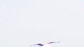 Se apoyará a las familias de los trabajadores para pagar pagar el alquiler, las hipotecas y los servicios públicos.