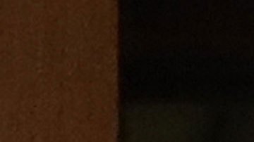 Los comentarios de Kushner se produjeron a poco más de una semana antes del día de las elecciones.