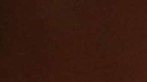 Genaro García Luna.