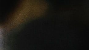 Hay signos menos exigentes en las citas.