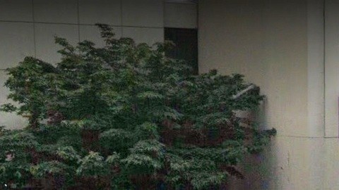 NYU Langone Hospital Brooklyn