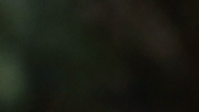 Miles de neoyorquinos salieron a apoyar a su candidato a presidente y otros cargos cuando la votación temprana comenzó este fin de semana