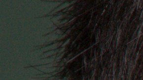 Muchos niños que viven en los refugios de la ciudad no tienen acceso a Internet y en consecuencia, están rezagados en su educación.