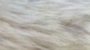 Pistacho es inconfundible.