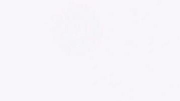 Batido de espirulina