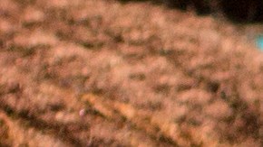 La pequeña expresó abiertamente su emoción.