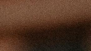 Frutos secos y semillas