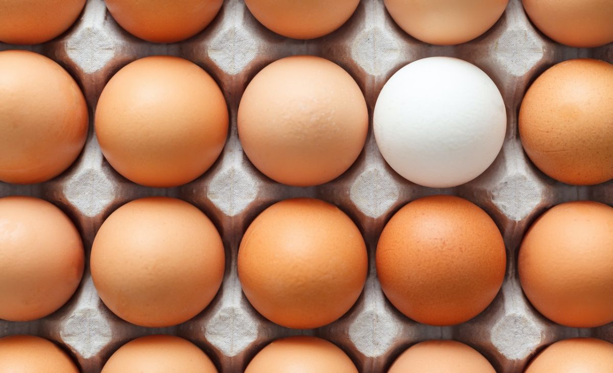 Los cascarones de los huevos son de un material poroso, que en las condiciones adecuadas puede absorber todo tipo de bacterias como la salmonella, que ponen en riesgo la salud general. Sobre todo de personas con sistemas inmunológicos débiles. 