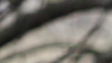 La abuela atraviesa por la semana 35 de gestación.