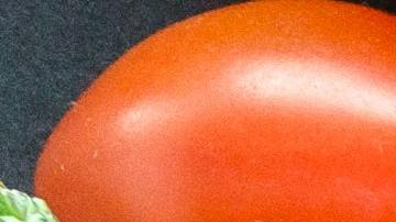 El alcohol pudo derivar la tragedia.