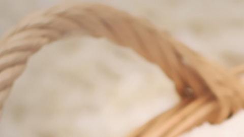 Sasha finalmente encontró un hogar feliz.