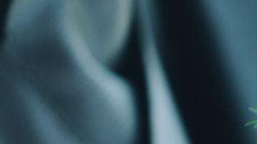 Además, aman Halloween y por ende, gozan disfrazarse.