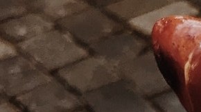 salchicha-hot dog-Mark Neal en Pexels