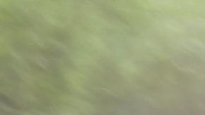 Caleb aprendió a leer desde que tenía 1 año.