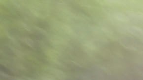 Caleb aprendió a leer desde que tenía 1 año.