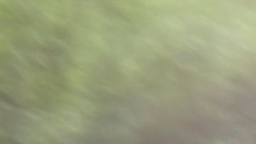 Caleb aprendió a leer desde que tenía 1 año.