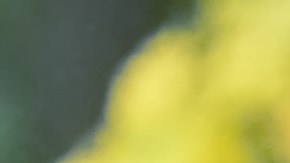 El niño dijo que su padre en repetidas ocasiones le decía estar cansado de él.